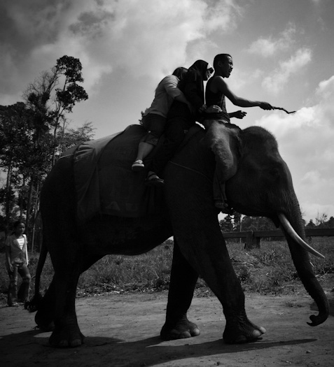 Dua orang wisatawan lokal menikmati pemandangan dari atas punggung Kampar, gajah yang telah dilatih di Pusat Latihan Gajah (PLG) Tahura, Minas.