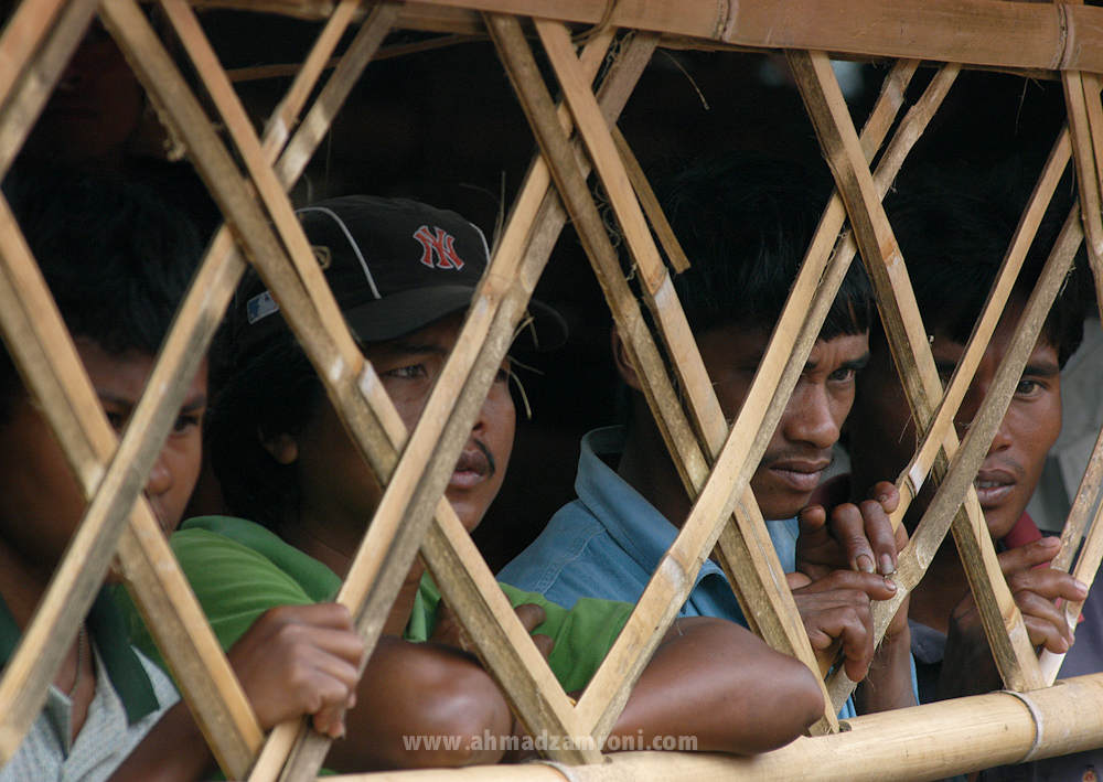 SERIUS. Empat orang warga dengan serius menyaksikan acara pemotongan kerbo atau matinggoro. Funeral, Toraja, Indonesia